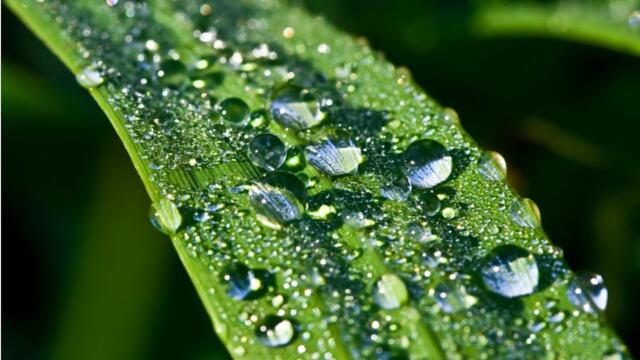 Эта трогательная мелодия сжимает до боли сердце и душу! Просто послушайте ...