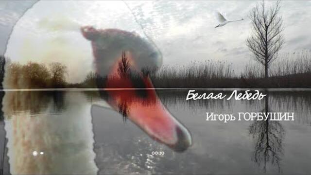 Игорь ГОРБУШИН  -  Белая лебедь