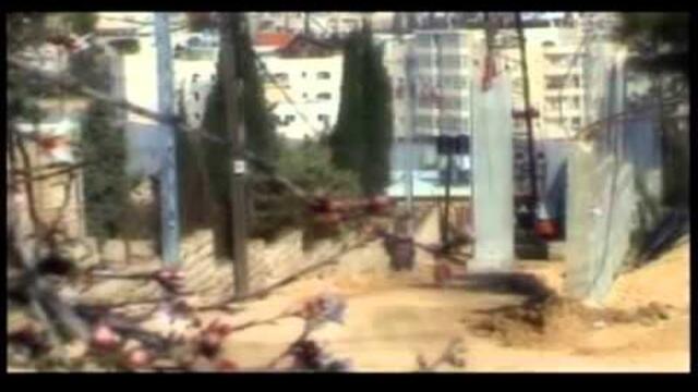 Rachel: An American Conscience