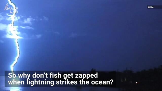 Lightning Sometimes Strikes Water But Why Don’t The Fish Die?