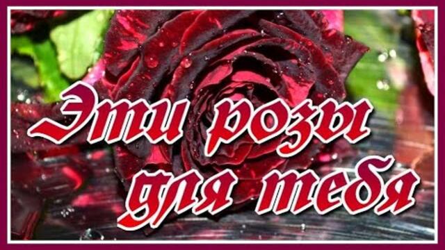 Игорь Ашуров   -    Эти розы для тебя!