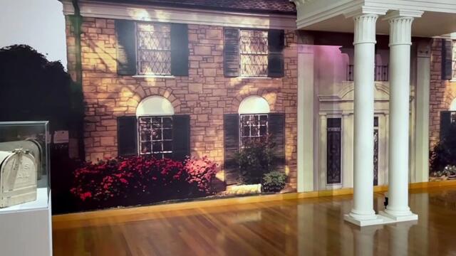 Priscilla Presley officially opens Elvis: Direct from Graceland in Bendigo | March 19, 2022 | Bendigo Advertiser