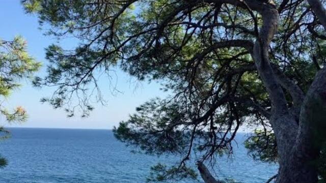 ПОДПИСЫВАЙТЕСЬ в Rutube и Яндекс Дзене при закрытии YouTube! Ссылки в описании под роликом