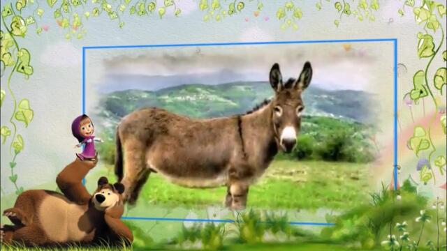 Чecтитa пъpвa пpoлeт – 22 мapт!