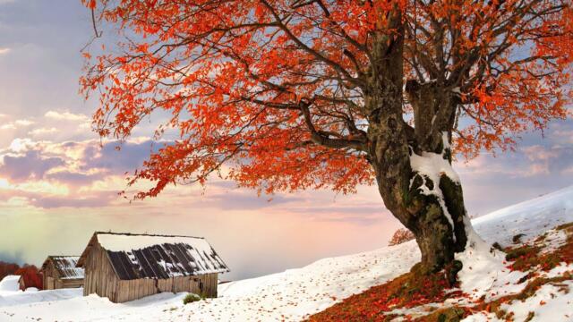 Самая красивая мелодия на свете!Эту музыку можно слушать вечно!Спокойная Музыка Для Снятия Стресса#6