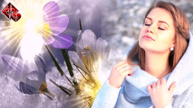 Sevenrose - Тает снег