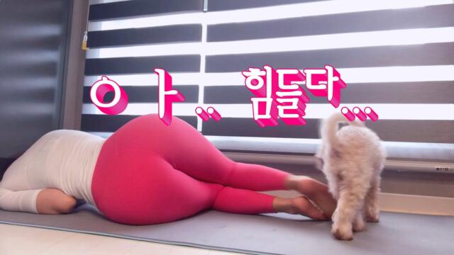 층간소음 없는 운동, 🏡 집에서 하는 다이어트 홈트레이닝 | noise FREE, home training, hip up, diet