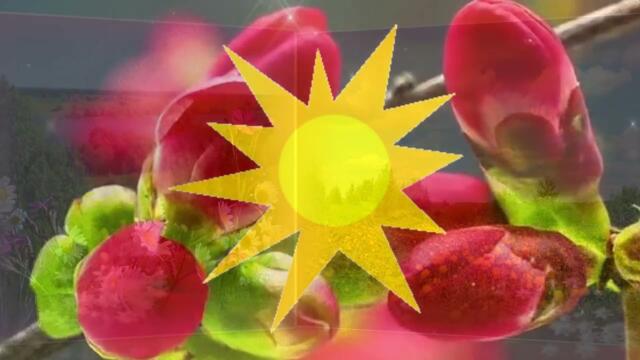 Александрова Марина  -   Привет, Весна!