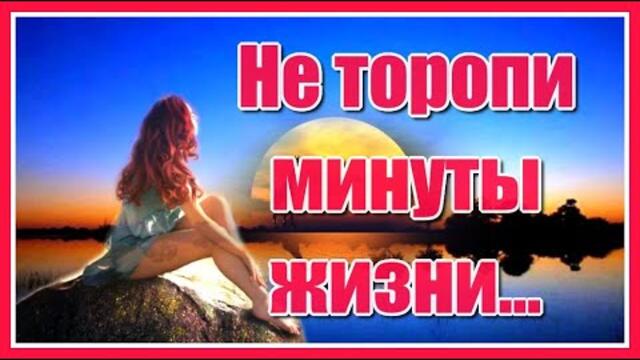 Саркис  -  "Не торопи минуты жизни..."