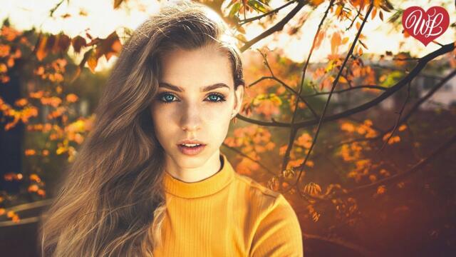 Владимир Пресняков   -   МОЯ ЛЮБОВЬ