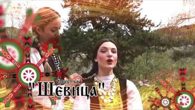 ✅ЕПИЗОД 195 на предаването ЕвроДикоФ