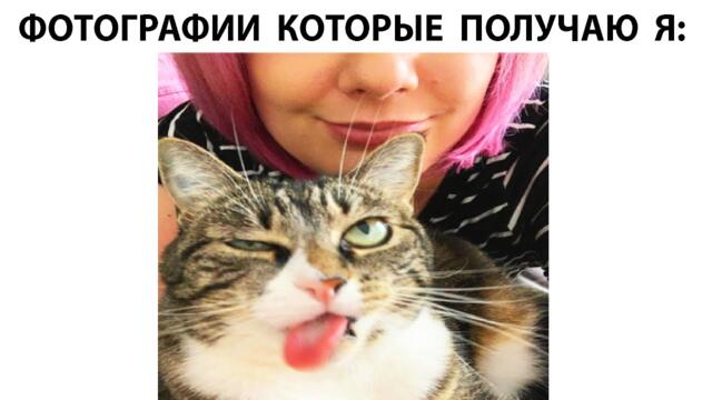 #мемы2022 #мемы #мем #приколы #коты #котики #коти #мемыпро100 #мемыдня #смешныекоты #про100мемы