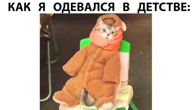 #мемы2022 #мемы #мем #приколы #коты #котики #котята #мемыпро100 #мемыдня #смешныекоты #про100мемы