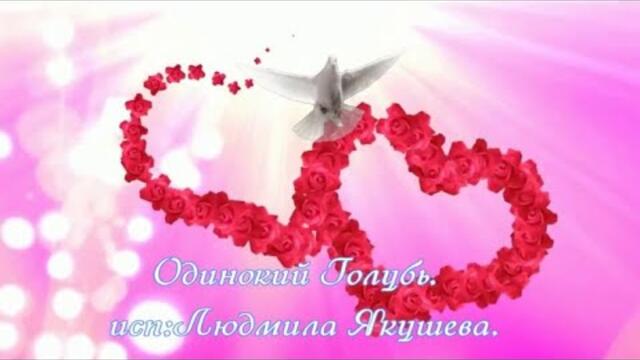 Людмила Якушева  -  Одинокий Голубь