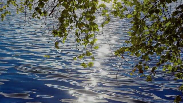 КРАСОТА РУССКОЙ ПРИРОДЫ ( БЕРЁЗЫ)