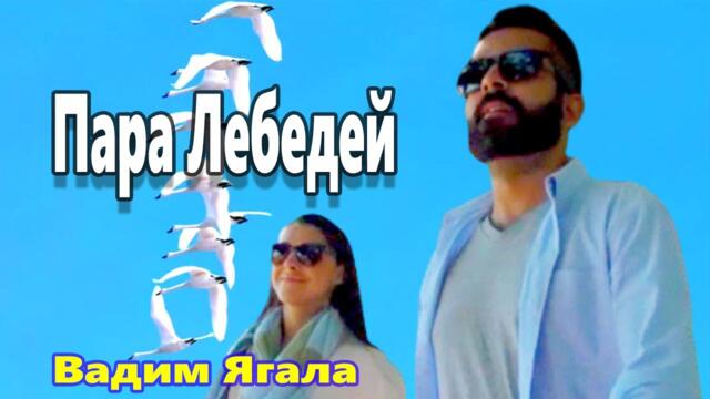 Вадим Ягала  -  Пара Лебедей