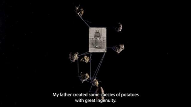 014_World Press Photo Open Format Award_Isadora Romero_Trailer