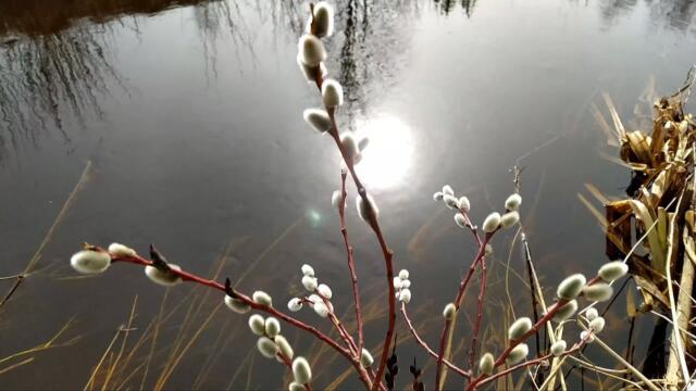 Весенняя речка