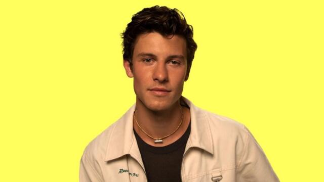 Shawn Mendes "When You're Gone" Official Lyrics & Meaning | Verified