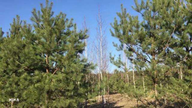 ЛЮБИТЕЛЕЙ ПРИРОДЫ И МУЗЫКИ!