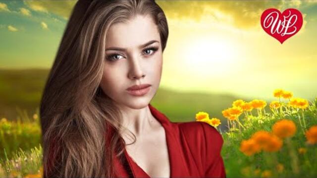 Александр Марцинкевич   -   АЛЛО