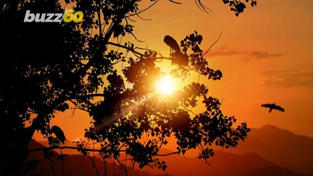 Possible UFO Sighting Captured on Camera in North Wales