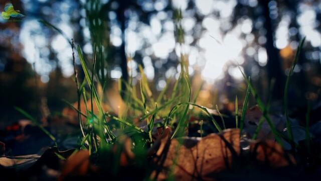 STUDY MUSIC || Improve Memory, Enhance Intelligence, And Memory Capacity||