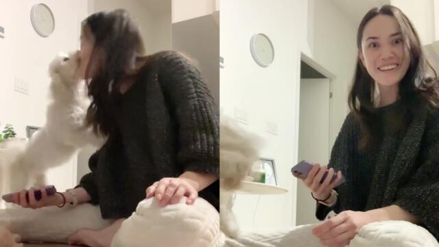 'Woman in shock as 'Dog Translator' app works to perfection on her pup'