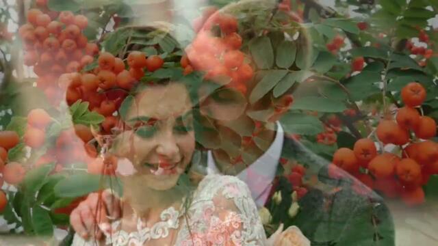 СВЕТА ЛАНИКА   -   РЯБИНА КРАСНАЯ...