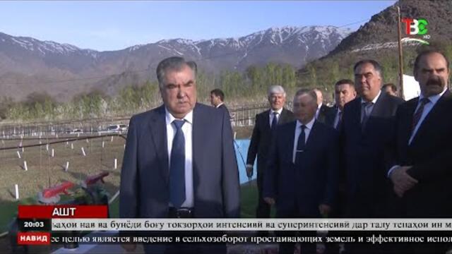 Кисми 1. Навид ТВС 16.04.2022. Сафари Президент ба Ашт