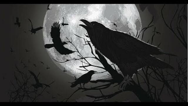 Виктория Черенцова   -   Вороны