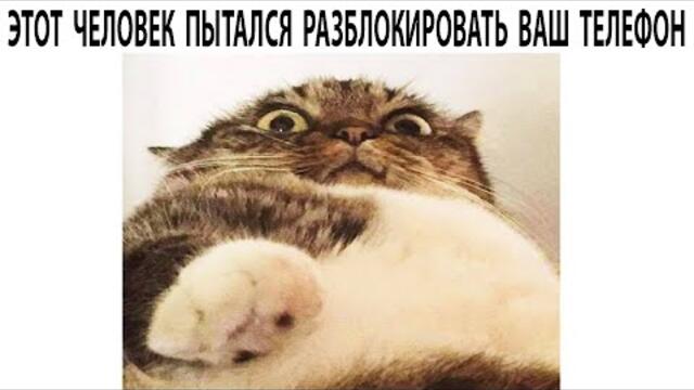 Мемы 2022 ( Про100 мемы ) выпуск 349 - День местного Самоуправления