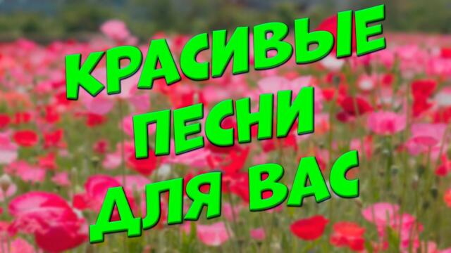 Сергей Одинцов/ Заходи и Слушай! Пою для Вас свои песни!