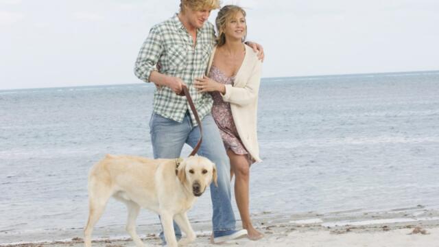 Марли и аз: Началото (синхронен екип, дублаж на студио Медиа Линк, 24.01.2016 г.) (запис)