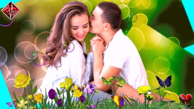 Александр ШАТО  - Целый Мир