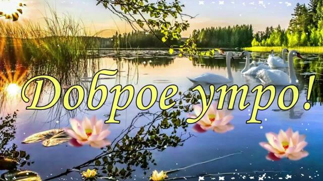 ❤️Я хочу пожелать тебе Доброго утра!❤️ Утро пусть теплом тебя согреет!❤️Good morning❤️