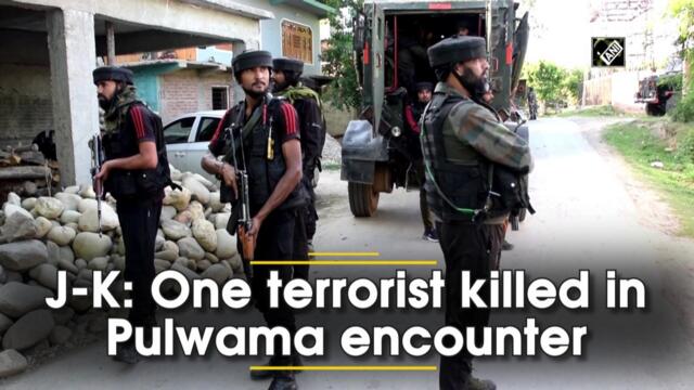 One terrorist killed in encounter in J&K's Pulwama