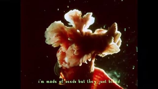 Purity Ring - graves