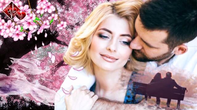 Алина Шелег -  Первый вечер