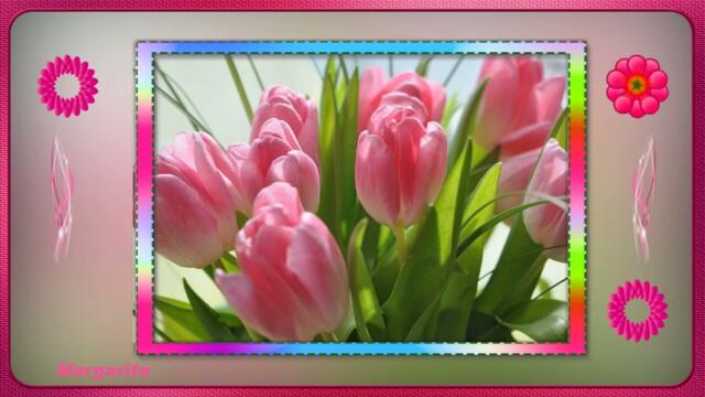 Классный подарок для друзей с Днем Рождения в Мае