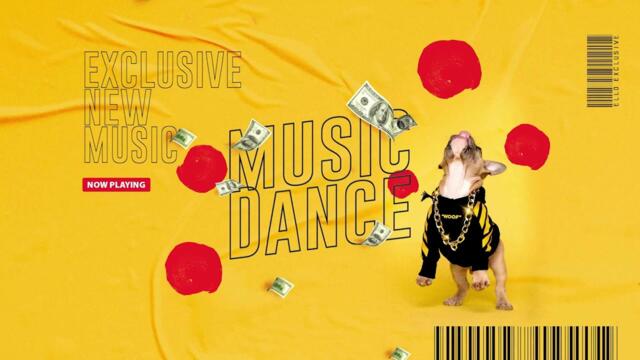 Best New & Popular Hits on ELLO !