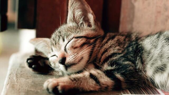 Lullaby by Johannes Brahms on Glockenspiel and Piano