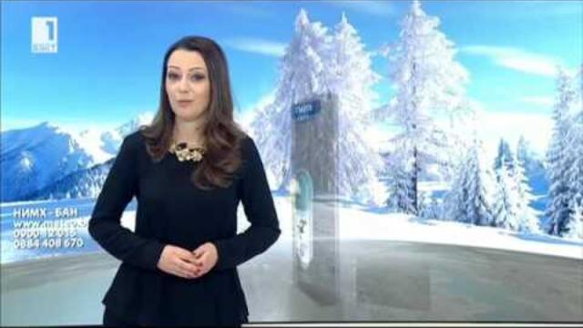 Pavleta Terziyska - 10.02.2017 (20:50)