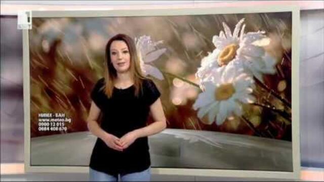 Pavleta Terziyska - 24.05.2017 (08:07)