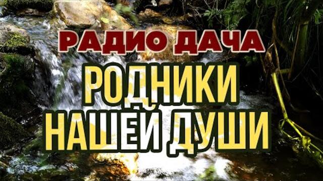 Радио дача | Родники нашей души