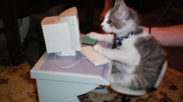 Я РЖАЛ ЦЕЛЫЙ ЧАС 😹 СМЕШНЫЕ КОШКИ И СОБАКИ | СМЕШНЫЕ ЖИВОТНЫЕ ЗА ВЕСЬ АПРЕЛЬ 2022 😹