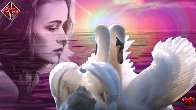 Марина Бриз - Лебеди / Новинка 2022 / БИЕНИЕ СЕРДЦА