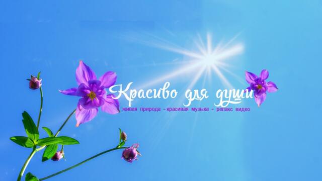 ПРОСТО НЕВЕРОЯТНАЯ МУЗЫКА! Хочется слушать снова и снова!