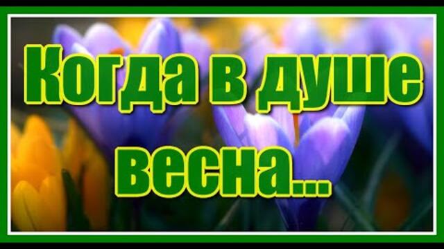 Анатолия Пчелова   -  "Когда в душе весна..."