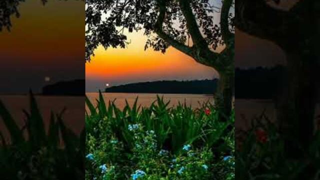 Прекрасного, тёплого вечера моим Друзьям!